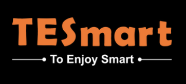TESmart logo