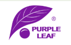 Purple Leaf US logo